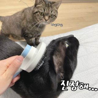 이수님이 올린 리뷰 사진 4