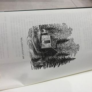 J님이 올린 리뷰 사진 2