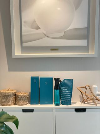 코박 스프레이 살균수  500ml 세트 — 5점을 준 리뷰어가 2022년 6월 올린 사용 사진