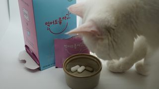 도르방구님이 올린 리뷰 사진 3
