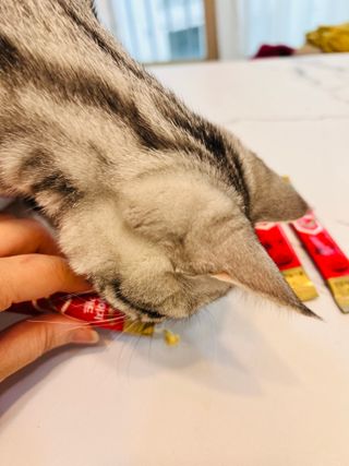 냠냠님이 올린 리뷰 사진 3