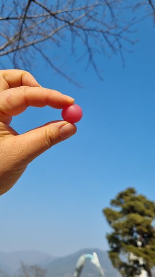 푸름웰니스 라바 쑥쑥구미 36g — 5점을 준 리뷰어가 2022년 2월 올린 사용 사진