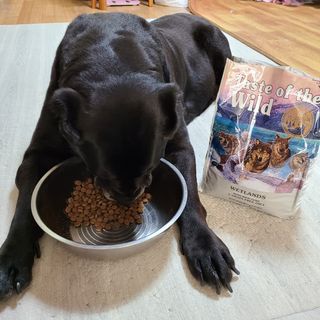 기린짱맘님이 올린 리뷰 사진 2