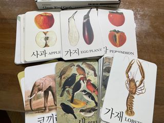바바북스 바바 클래식 낱말카드 — 5점을 준 리뷰어가 2024년 1월 올린 사용 사진