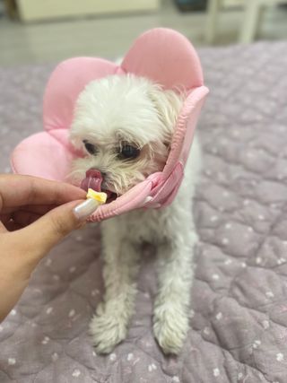 라임님이 올린 리뷰 사진 3