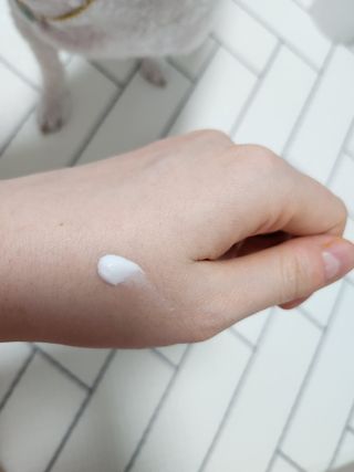 렉스리 데일리 톤업 크림 Rexri Daily Tone Up Cream — 5점을 준 리뷰어가 2022년 9월 올린 사용 사진