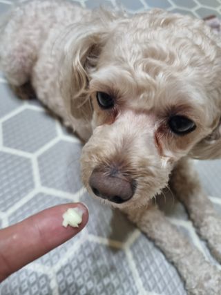 진쓰님이 올린 리뷰 사진 4