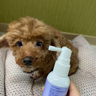 다짱님이 올린 리뷰 사진 2