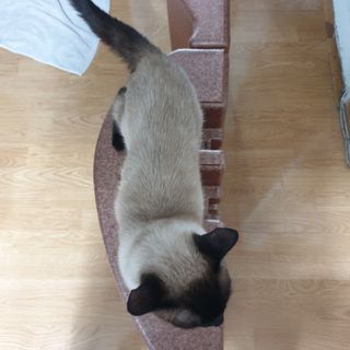 오세요님이 올린 리뷰 사진 3