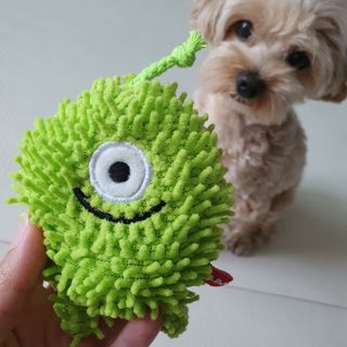 아코맘님이 올린 리뷰 사진 3