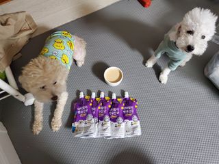 모모맘님이 올린 리뷰 사진 2