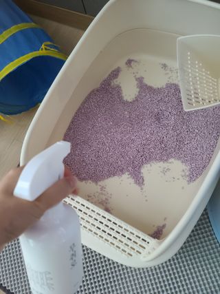 마녀철수님이 올린 리뷰 사진 1