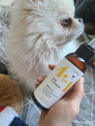 유화님이 올린 리뷰 사진 2