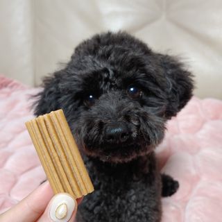 apple님이 올린 리뷰 사진 3
