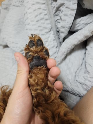 sssee님이 올린 리뷰 사진 3