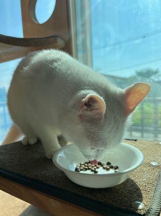 엘마마님이 올린 리뷰 사진 3