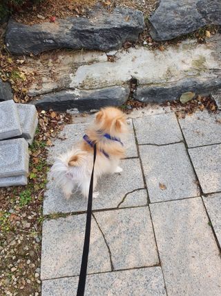 눕히님이 올린 리뷰 사진 1