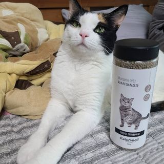 루잉루잉님이 올린 리뷰 사진 4