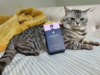 코코몰리 고양이 구강• 헤어볼 데일리 /신장• 요로 데일리 — 4점을 준 리뷰어가 2021년 3월 올린 사용 사진