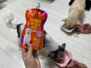 꼬밍님이 올린 리뷰 사진 1