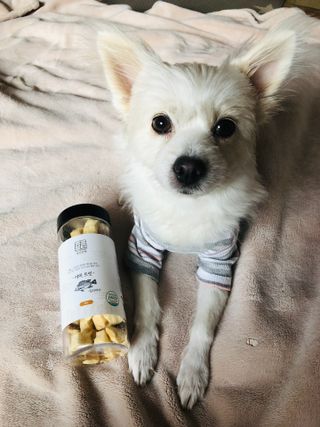 Lily님이 올린 리뷰 사진 4