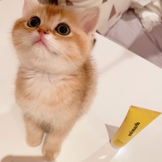 백설님이 올린 리뷰 사진 4