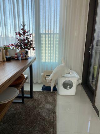 심바날라맘님이 올린 리뷰 사진 3