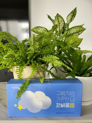 SNS 갓비움 — 5점을 준 리뷰어가 2022년 12월 올린 사용 사진