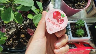 련리님이 올린 리뷰 사진 2