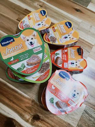 비타크래프트 조에시 하트캔 85g 강아지 습식캔 10캔 — 5점을 준 리뷰어가 2021년 7월 올린 사용 사진