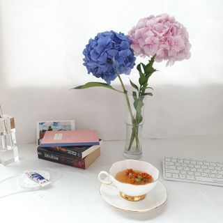 kyjnina님이 올린 리뷰 사진 1