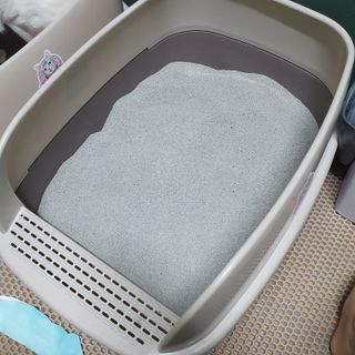 엘보리님이 올린 리뷰 사진 2