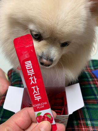 별이빛나길님이 올린 리뷰 사진 3