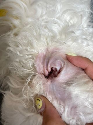 애리님이 올린 리뷰 사진 3