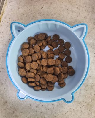 리안맘님이 올린 리뷰 사진 4