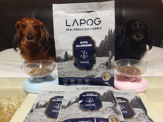 [푸디웜] 라포그 리얼인섹트 소프트키블 스킨 1KG — 5점을 준 리뷰어가 2022년 9월 올린 사용 사진