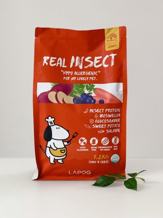 [푸디웜] 라포그  리얼인섹트 관절 저알러지 강아지 사료  1.2KG — 5점을 준 리뷰어가 2022년 8월 올린 사용 사진