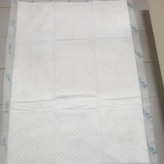 아베크 펫 와이드 프리미엄 대형 애견 강아지 배변 패드 30매 1팩 80g — 5점을 준 리뷰어가 2021년 7월 올린 사용 사진