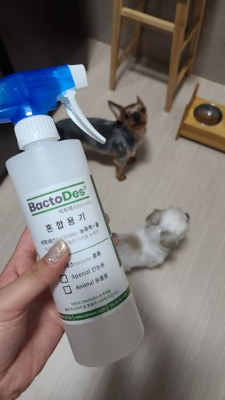 redanne님이 올린 리뷰 사진 2
