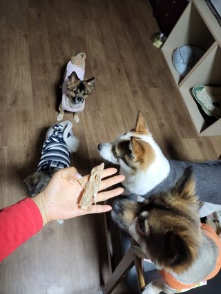 오둥이맘님이 올린 리뷰 사진 1