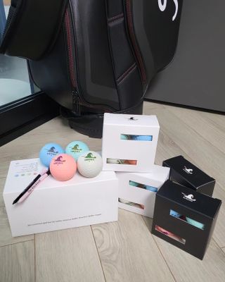 더위치골프(thewitchgolf) 프리미엄 골프 공 더위치골프 매트 펄 컬러의 3피스볼 더위치골프 골프볼 선물세트 — 5점을 준 리뷰어가 2023년 10월 올린 사용 사진