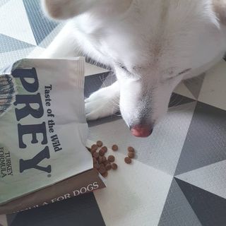 딸랑구둘🥰님이 올린 리뷰 사진 2