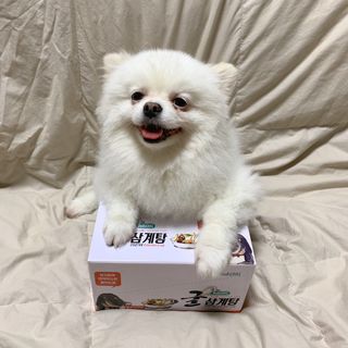 오랑이님이 올린 리뷰 사진 3