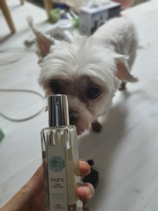 쮸동비님이 올린 리뷰 사진 2