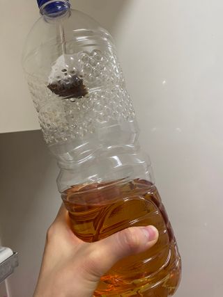 산그리메 작두콩차 — 5점을 준 리뷰어가 2021년 3월 올린 사용 사진