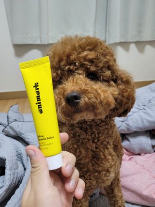 sssee님이 올린 리뷰 사진 1