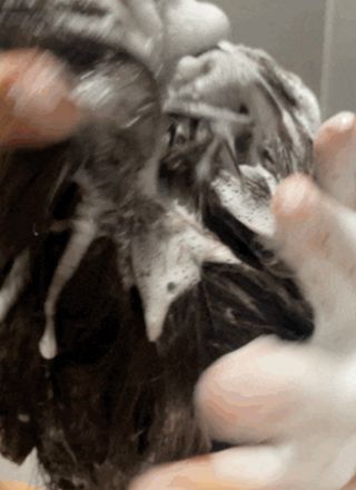 손보름님이 올린 리뷰 사진 3