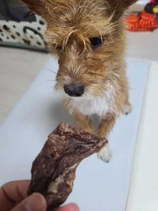 커피보고왔엄님이 올린 리뷰 사진 1
