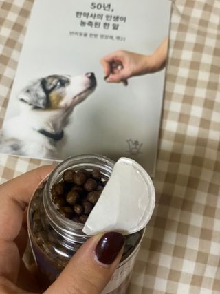 펫21 그로그로 5종 강아지 고양이 반려동물 한방 영양제 — 4.5점을 준 리뷰어가 2021년 11월 올린 사용 사진