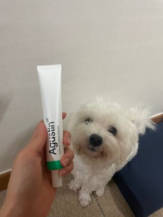 냥냥이님이 올린 리뷰 사진 3